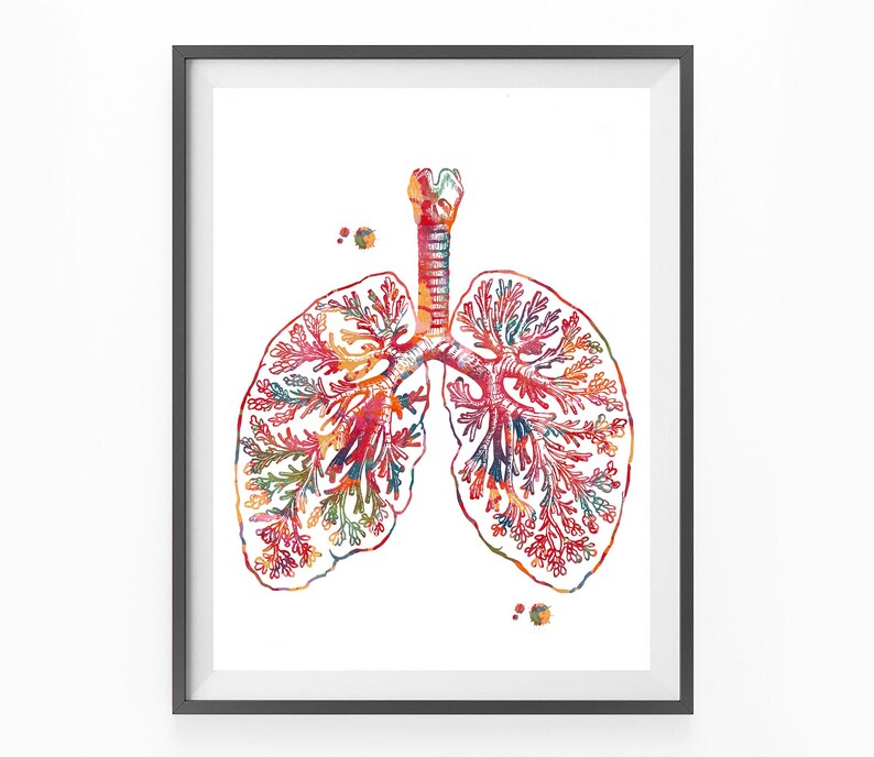 Anatomical Lungs Watercolor Art Print Alveolar Respiratory System 