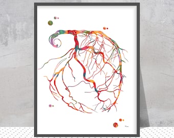 May include: A colorful anatomical illustration of the human heart with a network of veins and arteries. The heart is depicted in a watercolor style with shades of red, orange, yellow, green, and blue.