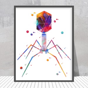 Bacteriophage Print Phage Watercolor Bacterial Virus Poster Cytology Biology Illustration Science Gift