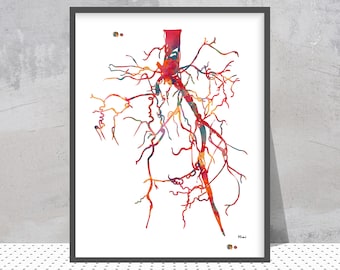 May include: A watercolor illustration of a red, orange, and yellow vascular system. The illustration is on a white background and is framed in a black frame.