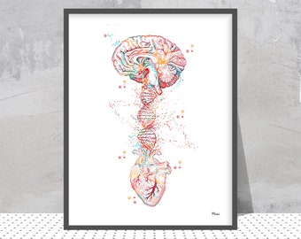 Brain Heart Print Abstract Science Art DNA Brain Heart Watercolor Print Genetics Print Biology Lab Art Heart and Brain Medical Clinic Decor