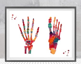 Foot and Hand watercolor print skeletal system poster anatomy art medical art skeleton structure print hand and foot bones illustration