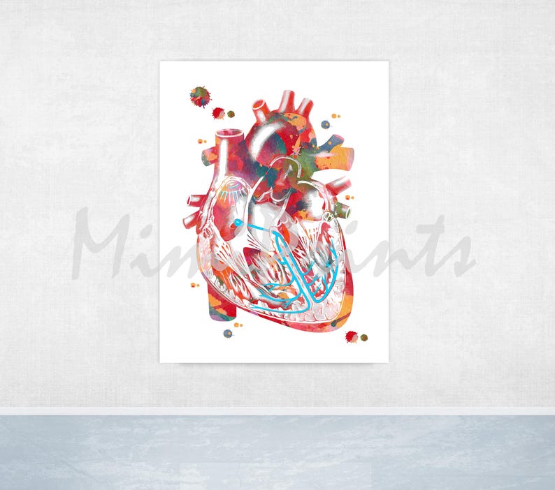 Heart Conduction System Print Cardiology Watercolor Heart's Electrical ...