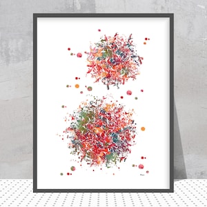 T-cells Art print T-lymphocytes Watercolor Poster Immune System Cells Print T-lymphocytes illustration T-cells treatment science art print