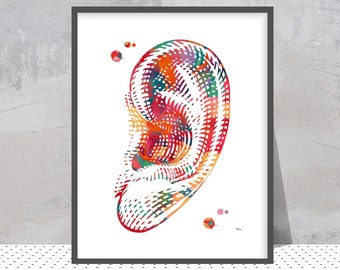 Grafika anatomiczna ucha zewnętrznego | Sztuka laryngologiczna | Wystrój kliniki audiologicznej
