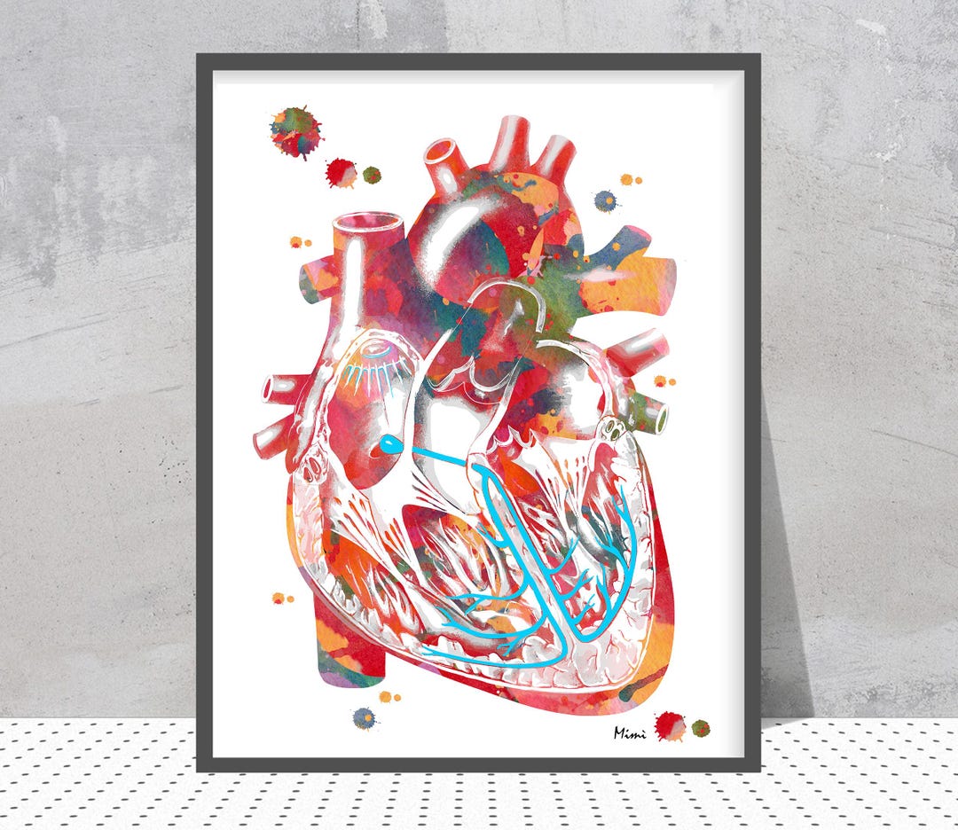 Heart Conduction System Print Cardiology Watercolor Heart's Electrical ...
