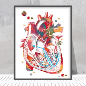 Könnte beinhalten: Gerahmte Aquarell-Illustration eines menschlichen Herzens. Das Herz ist in Rot-, Orange- und Blautönen dargestellt, mit anatomischen Details und Farbspritzern. Der schwarze Rahmen umgibt das Kunstwerk. Die Signatur des Künstlers, "Mimi", ist unten rechts zu sehen.