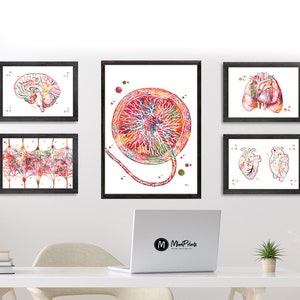 Placenta Pregnancy Print Umbilical Cord Poster OB-GYN Anatomy Art Fetus ...