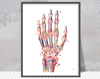 Hand Bones Anatomy Art Print Radiocarpal Joint Poster Wrist Joint Structure Watercolor Hand Surgery bones and ligaments Orthopedy Wall Art