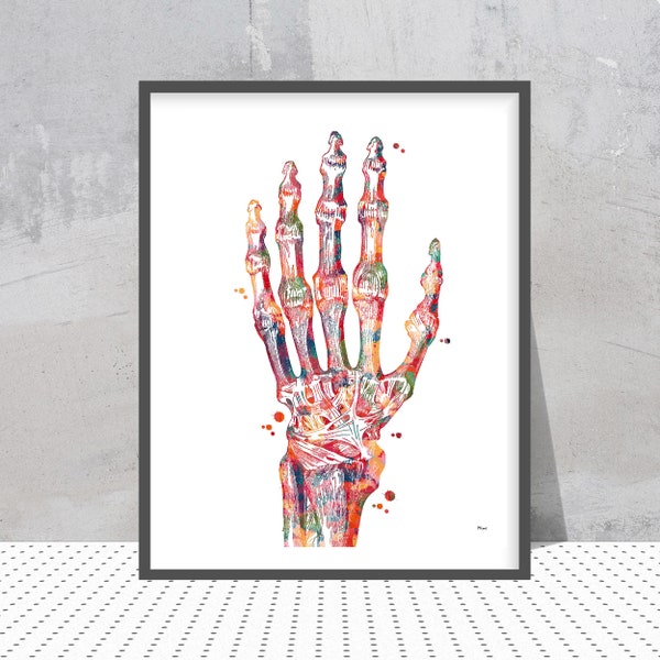 Huesos de la mano Anatomía Arte Impresión Articulación Radiocarpiana Cartel Muñeca Estructura de la articulación Acuarela Cirugía de la mano huesos y ligamentos Ortopedia Arte de la pared