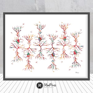 Può includere: Stampa artistica incorniciata con un'illustrazione ad acquerello di neuroni. L'opera presenta un motivo di strutture neuronali colorate nelle tonalità di rosso, arancione, giallo, verde e viola su sfondo bianco. La stampa è incorniciata in un bordo nero.