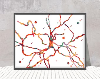 以下が含まれることがあります： 赤、オレンジ、黄色、緑、青の色合いで描かれたニューロンのカラフルな水彩画イラストが特徴の額入りウォールアートプリント。枝分かれした樹状突起と軸索が真っ白な背景に描かれており、隅に小さな署名が入っています。