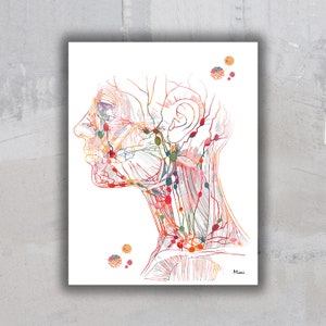 May include: A detailed anatomical illustration of the head and neck, showing the lymph nodes and blood vessels. The illustration is done in a watercolor style with shades of red, orange, yellow, green, and blue.