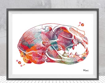 Cat's Skull Lateral View Print | Veterinary Anatomy Art | Vet Clinic Decor