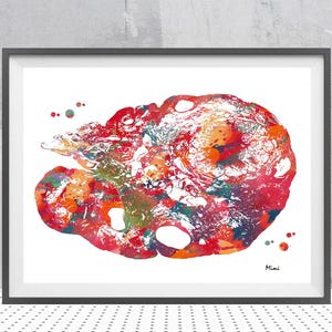 Ovary Print Female Reproductive System Watercolor Ovary Histology Art OB-GYN Clinic Wall Decor Anatomy Art Gift Gynecology Poster