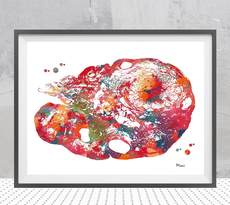 Ovary Watercolor Print | OB-GYN Art | Gynecology Practice Decor image 1