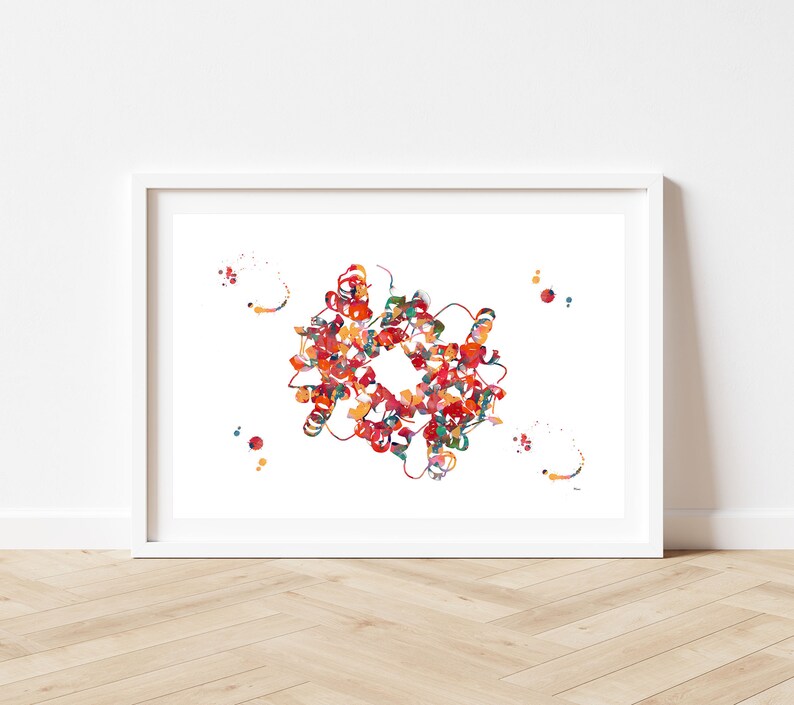 Hemoglobin science art watercolor print blood cells hemoglobin poster anatomy art heme group painting print biology art hemoglobin image 5