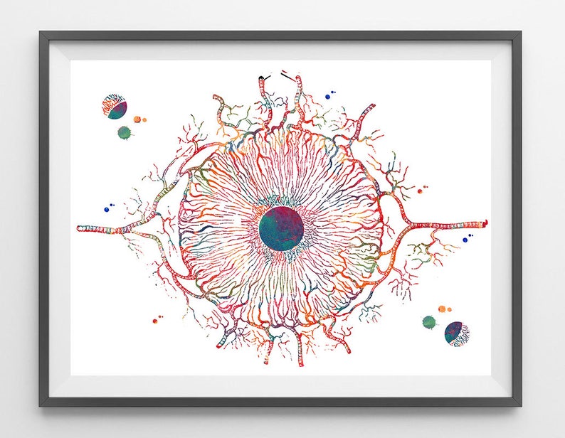 Iris Art Print Eye Anatomy Watercolor Medical Art image 4