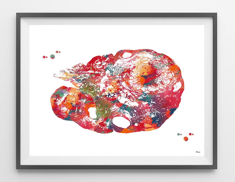 Female Reproductive System Watercolor print ovary poster image 0