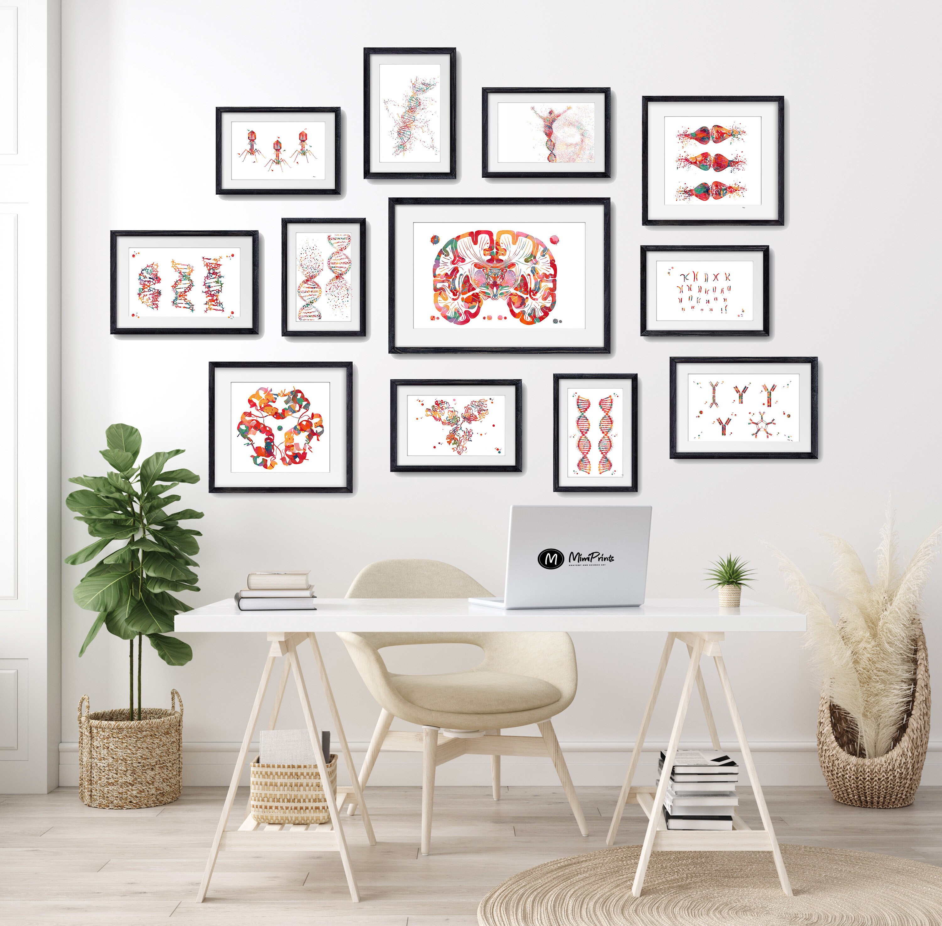 Brain Print Coronal Section of the Human Brain Brain Anatomy Watercolor ...