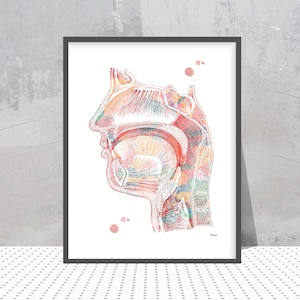 Respiratory system watercolor print Nose Mouth Throat Larynx function anatomy art poster medical art air pathway speech therapy art print