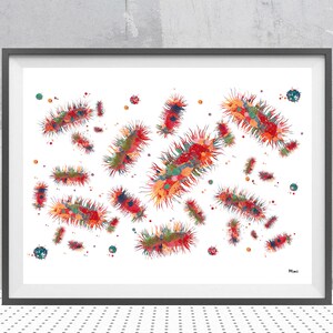 Escherichia Coli Science Art Print Bacteria watercolor Poster Biology Art Cytology illustration E. Coli Biologist Wall Art Gift