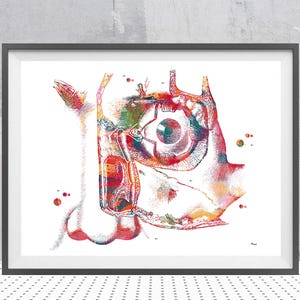 Pode incluir: Impressão artística emoldurada que apresenta uma ilustração detalhada em aquarela da anatomia do olho humano. A obra utiliza uma paleta de cores vibrantes, com vermelhos, azuis, verdes e amarelos. A moldura é preta, ideal para decoração.