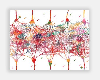 Cortical Neurons Watercolor Print, Brain Anatomy Art