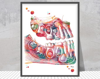 Primary Dentition Anatomy Print | Dental Art | Dentist Practice Decor