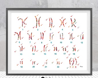 Trisomy X Genetics Print Triple X Chromosome Idiogram Watercolor Trisomy X Karyotype Poster Triple X Chromosome Syndrome Biology Art Gift