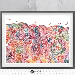 Liver Tissue Anatomy Print Medical Art Liver Histology Watercolor GI Doctor Hepatologist Art Gift Medical Clinic Wall Decor