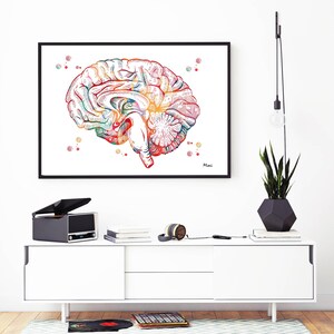 Brain Anatomy Cross Section Watercolor Print Human Brain Sagittal View ...