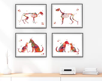 Veterinaire aquarelprintset | Anatomische kunst dieren | Dierenkliniekdecoratie