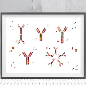 Antibody Watercolor Print Antigens Antibody reaction print science art immunoglobulin Ig molecule structure anatomy art biology wall art