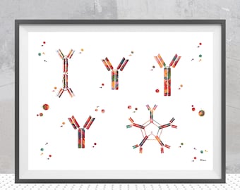 immunoglobulin (Ig) Antigens Print | Immunology Art | Biology Lab Decor | Immunologist Gift