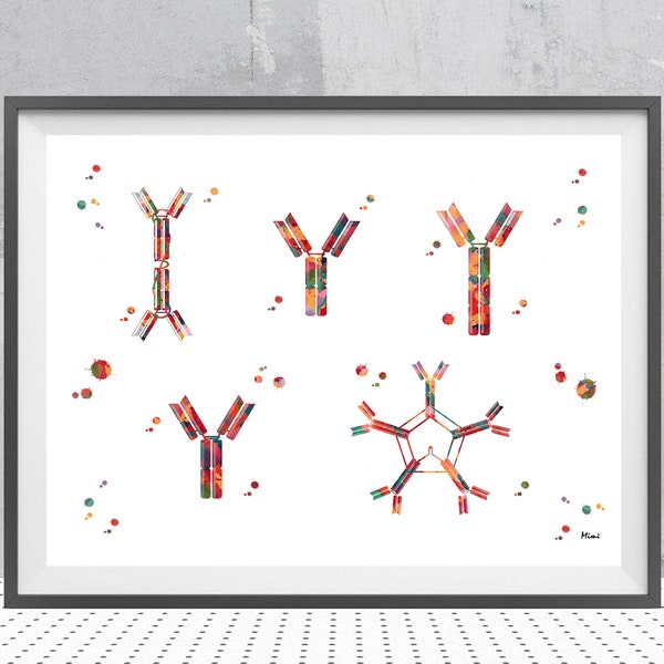 Antibody Watercolor Print Antigens Antibody reaction print science art immunoglobulin Ig molecule structure anatomy art biology wall art