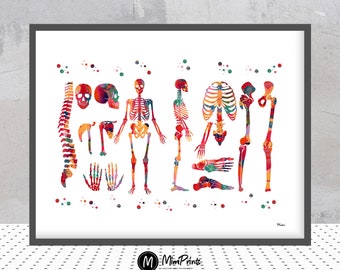 Human Skeleton Watercolor Print, Anatomy Art Poster