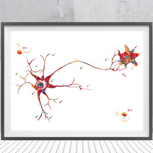 Multipolar Neuron Print, Brain and Neurons Anatomy Art - Etsy
