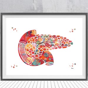 Bauchspeicheldrüse Kunstdruck | Abstrakte Anatomie,Endokrinologie Kunst