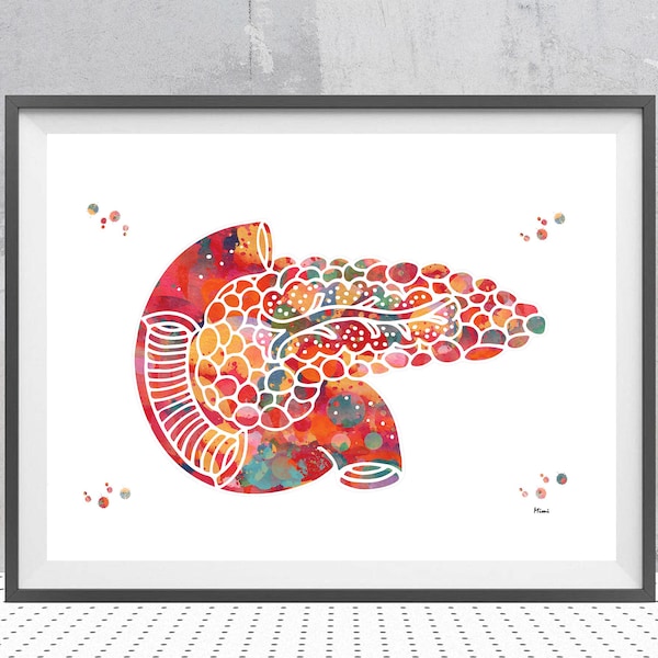Bauchspeicheldrüse Kunstdruck | Abstrakte Anatomie,Endokrinologie Kunst