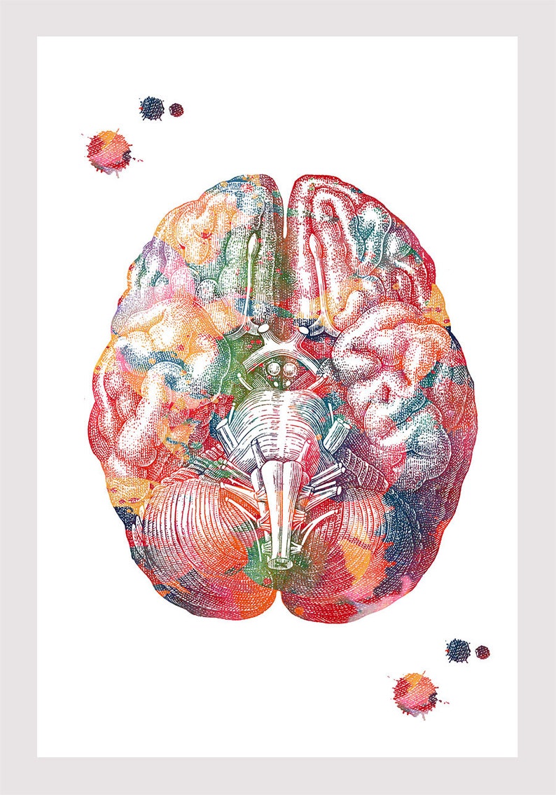 Мозг арты. Мозг и искусство. Неврология в искусстве. Головной мозг арт медицина.