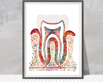 Molar Section Watercolor Print, Dental Anatomy Dentist Clinic Wall Art