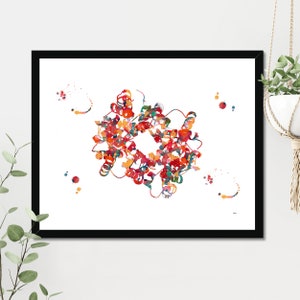 Hemoglobin science art watercolor print blood cells hemoglobin poster anatomy art heme group painting print biology art hemoglobin image 3