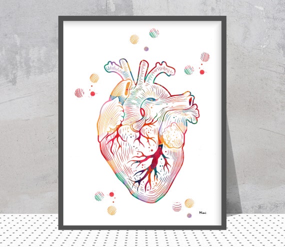 Das Herz Aquarell Druck Das Menschliche Herz Poster Etsy