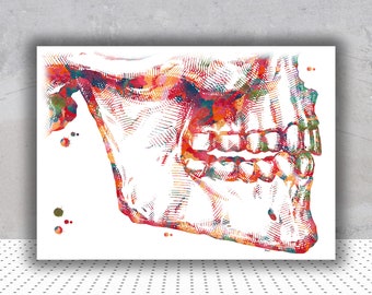 Mandible And Maxilla Anatomy Print Dentistry Poster Dental Surgery Watercolor Jaw And Teeth Painting Orthognathic Surgery Illustration