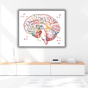 Brain Anatomy Cross Section Watercolor Print Human Brain Sagittal View ...