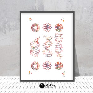 DNA  Science Art Genetics Print DNA helix conformation watercolor A-form B-form and Z-form of DNA