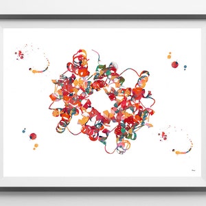 Hemoglobin science art watercolor print blood cells hemoglobin poster anatomy art heme group painting print biology art hemoglobin image 2