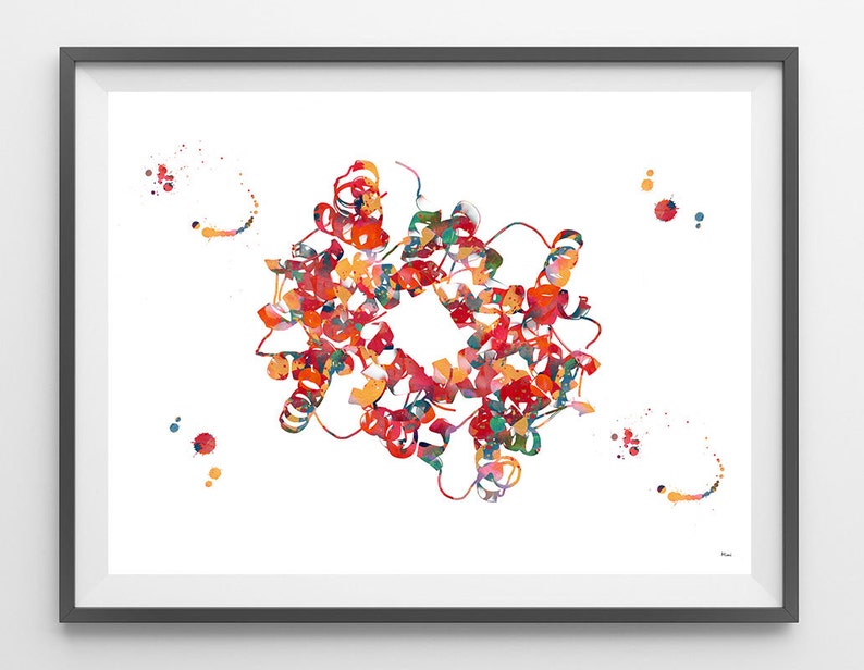 Hemoglobin science art watercolor print blood cells hemoglobin poster anatomy art heme group painting print biology art hemoglobin image 2