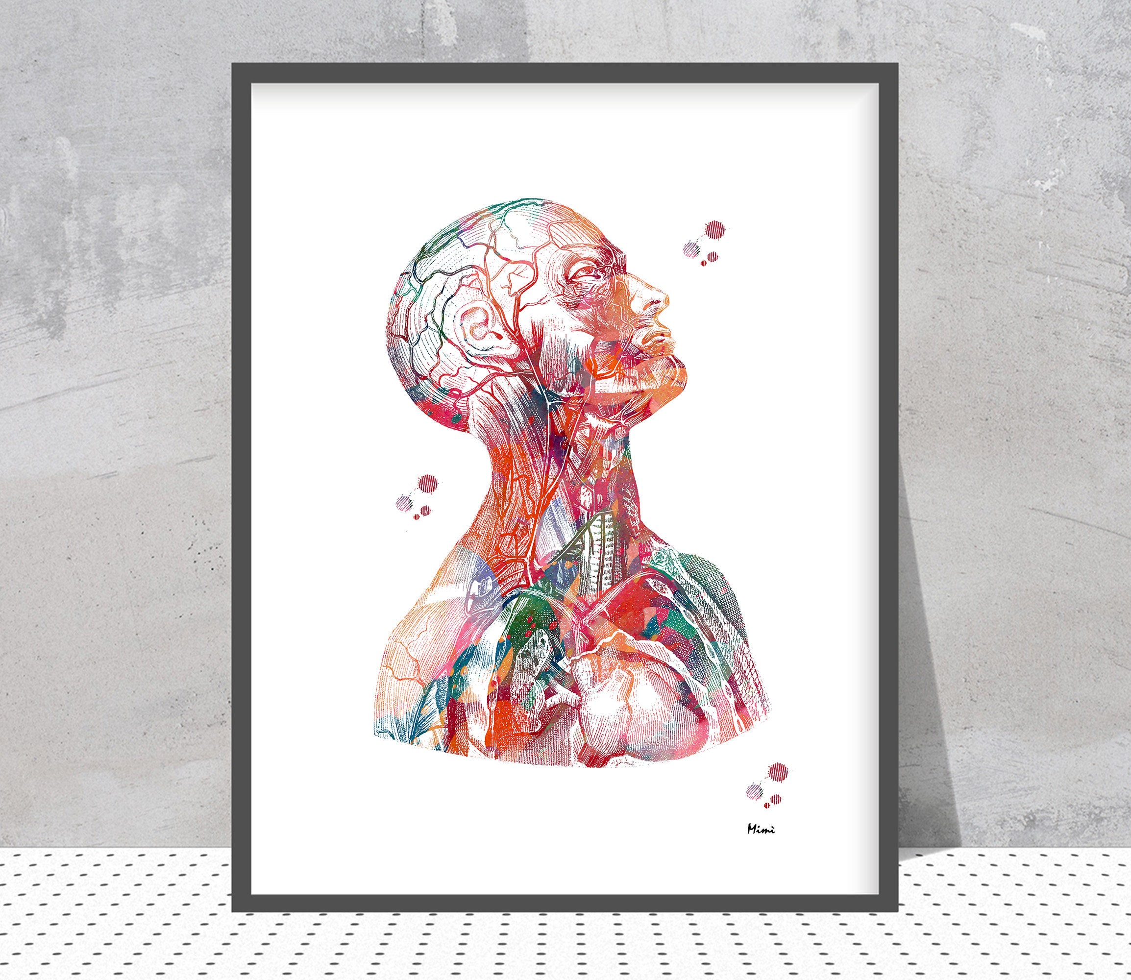 Human Head Anatomy For Artists